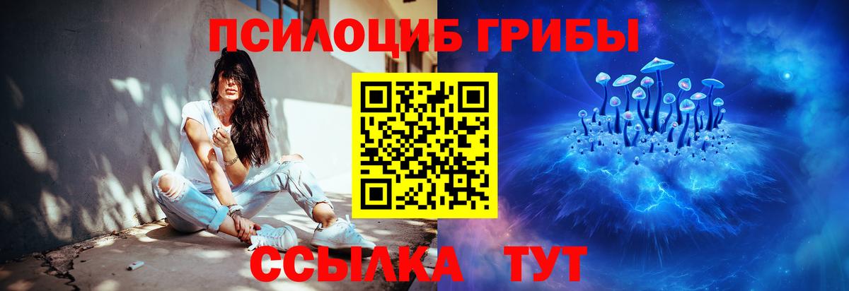 Галлюциногенные грибы GOLDEN TEACHER  Вход с VPN  Галлюциногенные грибы Psilocybe  Дзержинск 